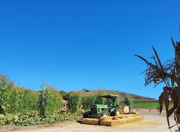 california/irvine/attraction/tanaka-farms