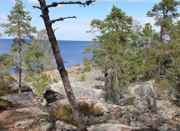 sweden/gotaland/attraction/sveriges-aldsta-tall