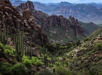 arizona/tonto-national-forest/attraction/peralta-trailhead