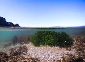 south-africa/eastern-cape/attraction/bats-cave