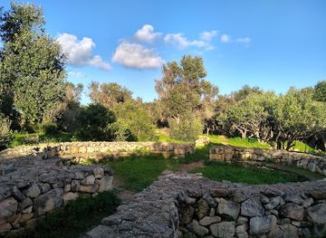 malta/southern-region/attraction/is-sabbara-woodland