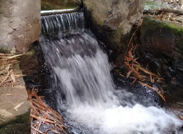 paraguay/aregua/attraction/arroyo-mboi-y-granja-don-endulfo