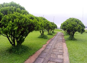 nigeria/port-harcourt/attraction/university-of-port-harcourt-department-of-geograpy-garden