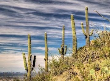 arizona/tucson/attraction/valley-view-overlook-trail