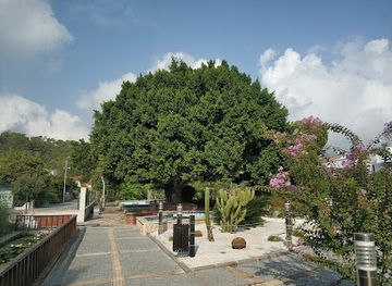 turkiye/kemer/attraction/botanicheskiy-sad-g-kemer