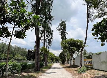 singapore/coney-island/attraction/punggol-coney