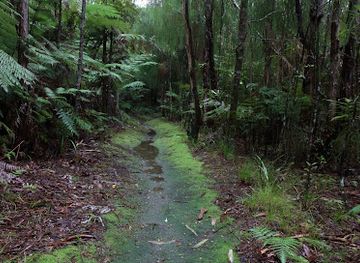 new-zealand/abel-tasman-national-park/attraction/washbourn-scenic-reserve