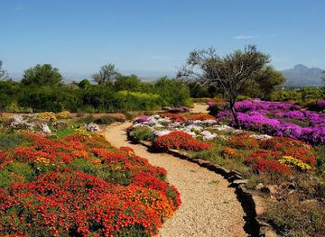 south-africa/cape-winelands/attraction/karoo-desert-national-botanical-garden