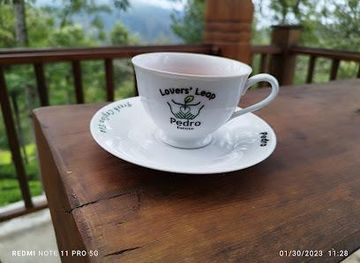 sri-lanka/kandy/attraction/pedro-tea-center-and-factory