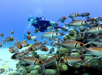 dominican-republic/punta-cana/attraction/punta-cana-best-excursions