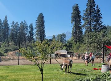 Leavenworth Reindeer Farm
