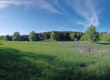 Bukk-fennsik