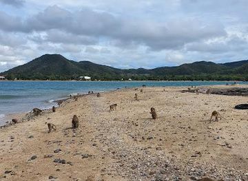 thailand/rayong/attraction/koh-ped-koh-ling-monkey-island