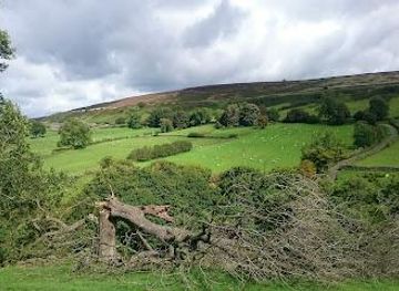 united-kingdom/york/attraction/rosedale-abbey