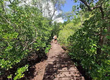 Barbarons Coastal Wetlands