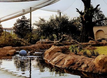 Mike the Tiger's Habitat