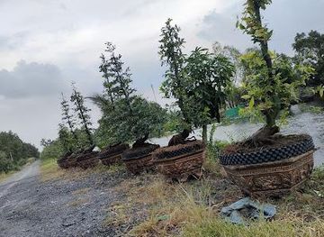 vietnam/ho-chi-minh-city/attraction/tan-lap