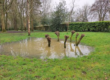 united-kingdom/bedfordshire/attraction/national-trust-whipsnade-tree-cathedral