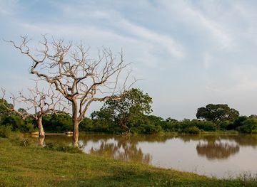 sri-lanka/bundala-national-park/attraction/bundala-national-park