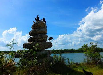florida/southwest-florida/attraction/fakahatchee-strand-preserve-state-park
