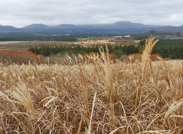 south-korea/jeju-city/attraction/sangumburi