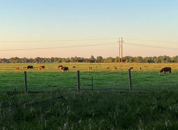 nebraska/dissected-till-plains/attraction/buffalo-bill-ranch-state-historical-park-museum
