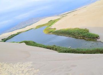 peru/ica/attraction/oasis-de-moron
