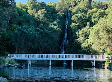 new-zealand/hawke-s-bay/attraction/centennial-garden-waterfall
