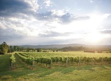 west-virginia/martinsburg/attraction/breaux-vineyards