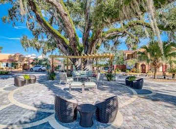 florida/st-augustine/attraction/the-old-senator-tree