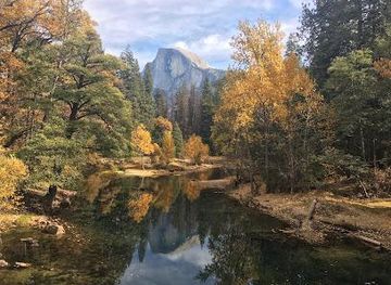 california/castro-valley/attraction/white-wolf-private-tours