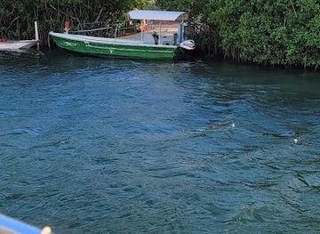 puerto-rico/ponce/attraction/la-parguera