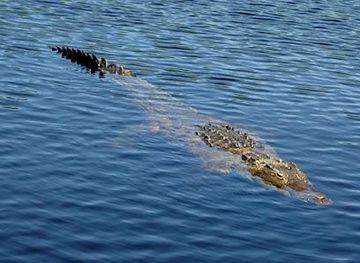 mexico/riviera-maya/attraction/uxuxubi-al-natural