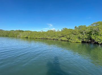 honduras/roatan/attraction/fun-chaser-roatan