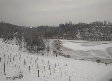 estonia/otepaa-ski-resort/attraction/murimae-veinikelder