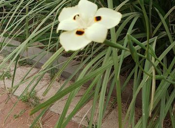 israel/kfar-saba/attraction/gnt-hrASHvnym