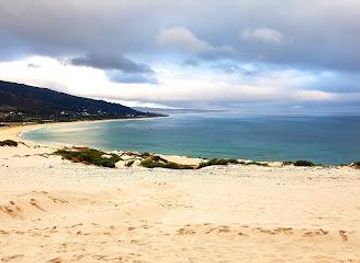 gibraltar/gibraltar-nature-reserve/attraction/valdevaqueros