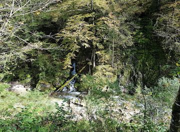 austria/kalkalpen-national-park/attraction/karstquelle-maulaufloch