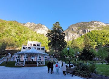 romania/caras-severin/attraction/sequoia-gigantea