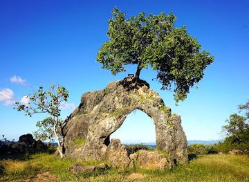 timor-leste/matebian-mountain/attraction/fatuk-domin-arch-with-tree