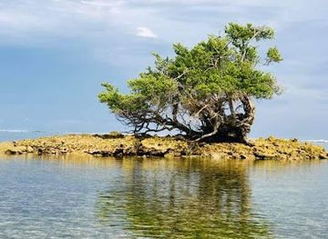 maldives/hithadhoo-island/attraction/ihahdhoo-view