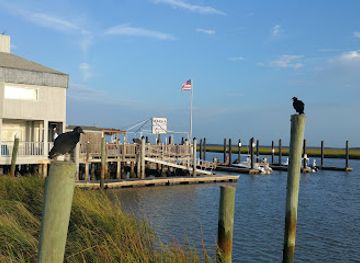 south-carolina/edisto-island/attraction/bay-creek-park