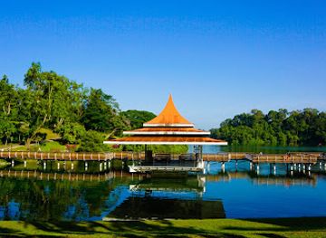 singapore/singapore/attraction/macritchie-treetop-walk-trailhead