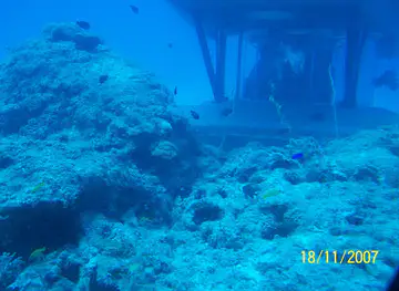 Blue Safari Submarines