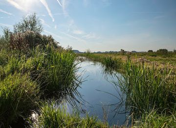 netherlands/south-holland/attraction/abtswoudse-bos