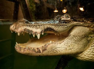 canada/ottawa-valley/attraction/little-ray-s-nature-centre