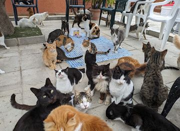 cyprus/paphos-district/attraction/agios-neofytos-catpark