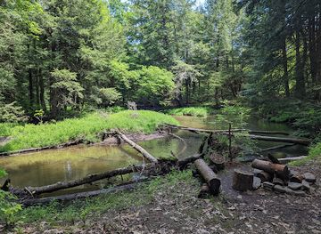 pennsylvania/allegheny-national-forest/attraction/hickory-creek-wilderness