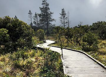 mauritius/ganga-talao/attraction/la-plaine-raoul