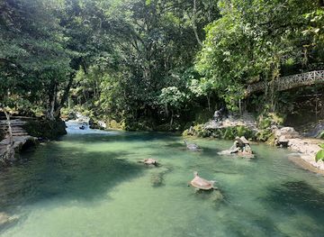 peru/san-martin/attraction/centro-turistico-tio-yacu